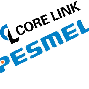 Pesmel and Core Link enter a contract of cooperation within paper roll handling 